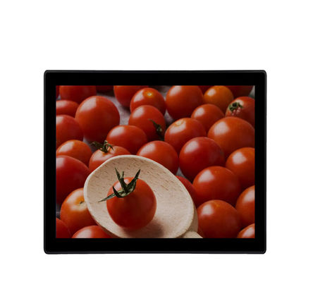 19&quot; monitor LCD impermeable de la pantalla táctil del monitor de VGA DVI de los quioscos industriales de la entrada